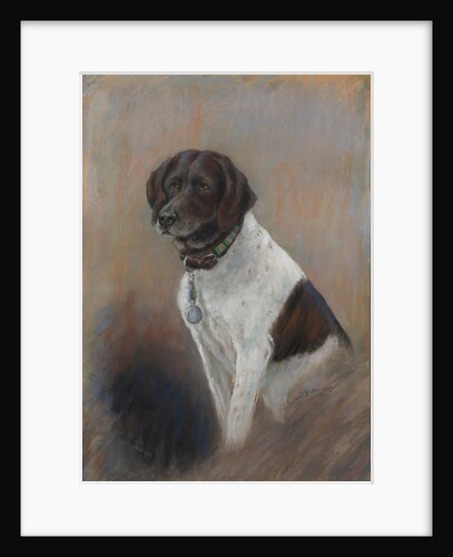 The dog Judy Pointer, Mascot of HMS 'Grasshopper', prisoner of war with the RAF in Japan by Georgina Shaw Baker