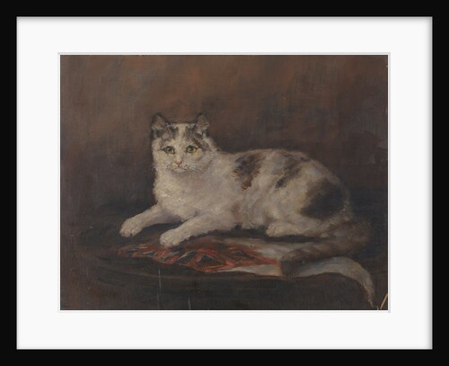 The cat of HMS 'Exeter' by Georgina Shaw Baker