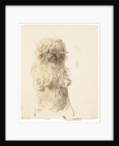 A dog of unconfirmed breed, shown standing on hind legs in a posture associated with begging by Unknown