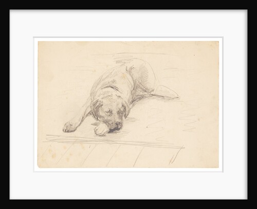 Dog lying with it's head on one side on a rug by Unknown