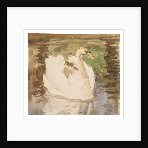 A swan with partly folded wings by Unknown