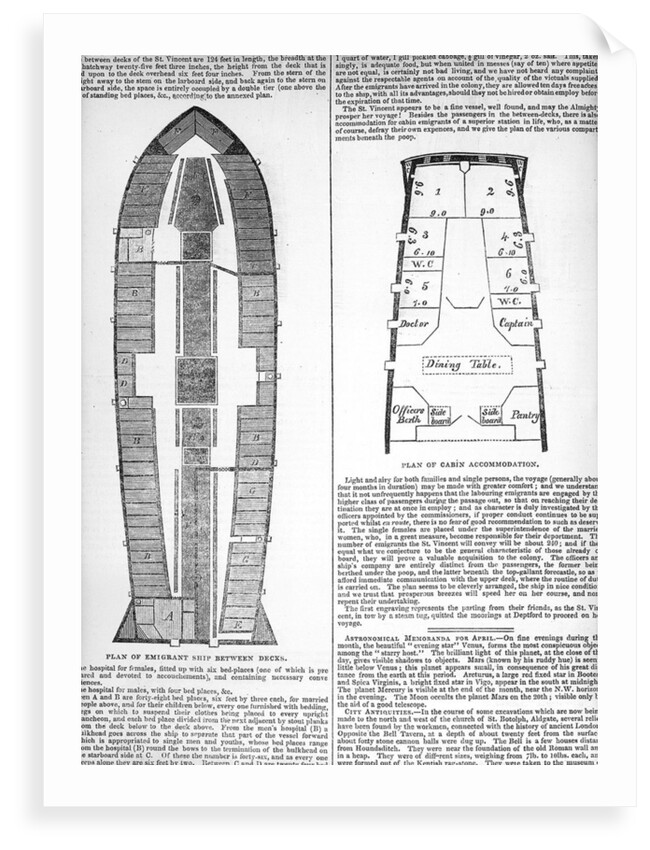 Plan of emigrant ship and migrants' cabin accommodation by Unknown