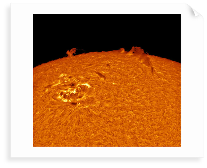 Ripples in a Pond by Alexandra Hart