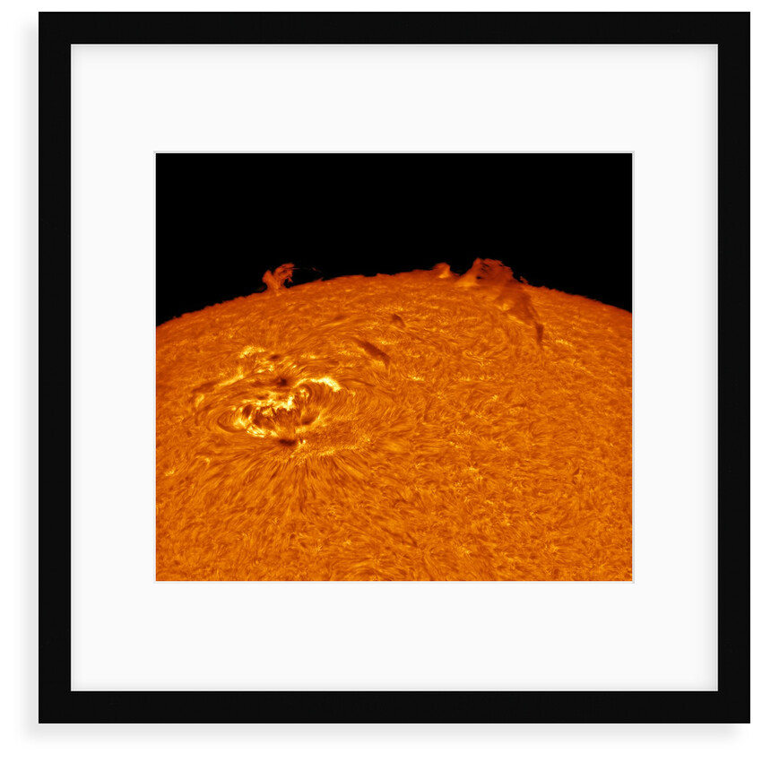 Ripples in a Pond by Alexandra Hart