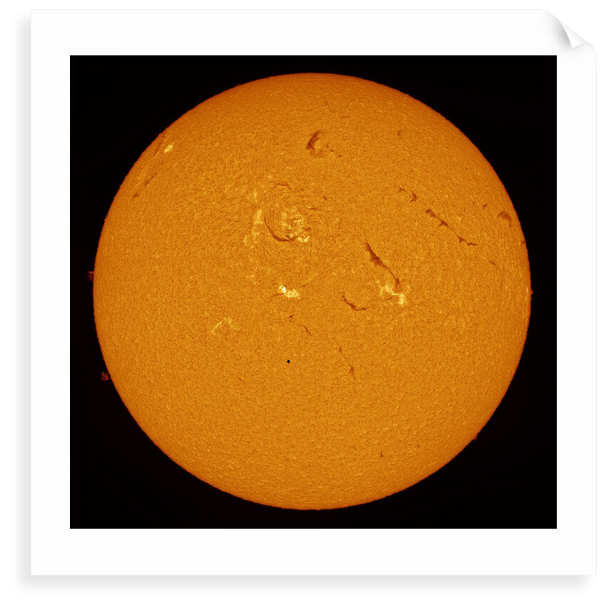 Mercury Rising by Alexandra Hart