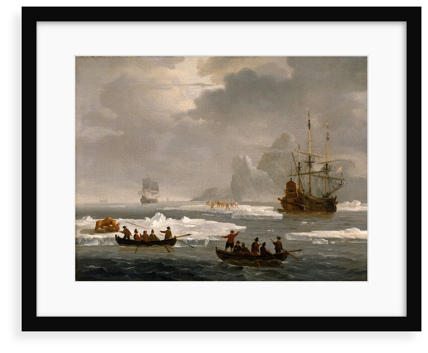 A bear hunt in the Arctic by Wigerus Vitringa