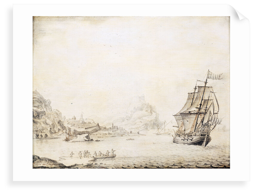 An English flute off Satalia by Jan Peeters