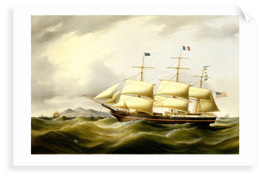 The packet 'Antarctic' by D. MacFarlane