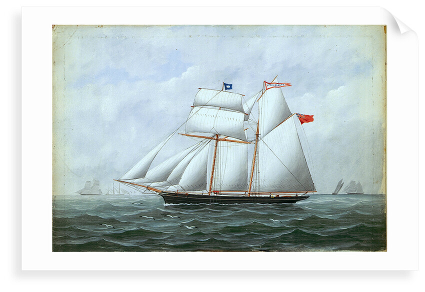 The schooner 'Little Beauty' by W. Pearn