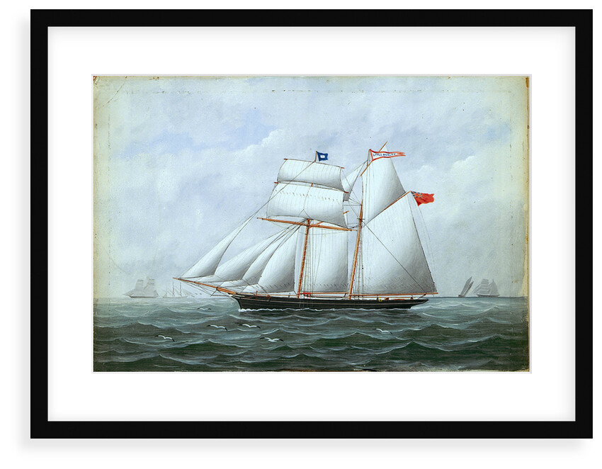 The schooner 'Little Beauty' by W. Pearn
