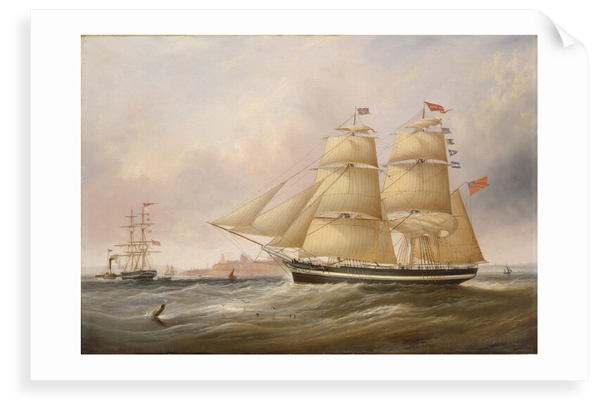 The snow 'Mary Ann' by John Scott