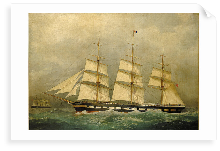 The clipper 'Wild Deer' by British School