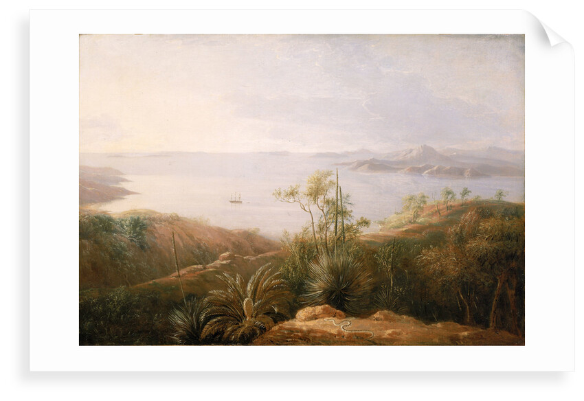 A bay on the south coast of New Holland, January 1802 by William Westall