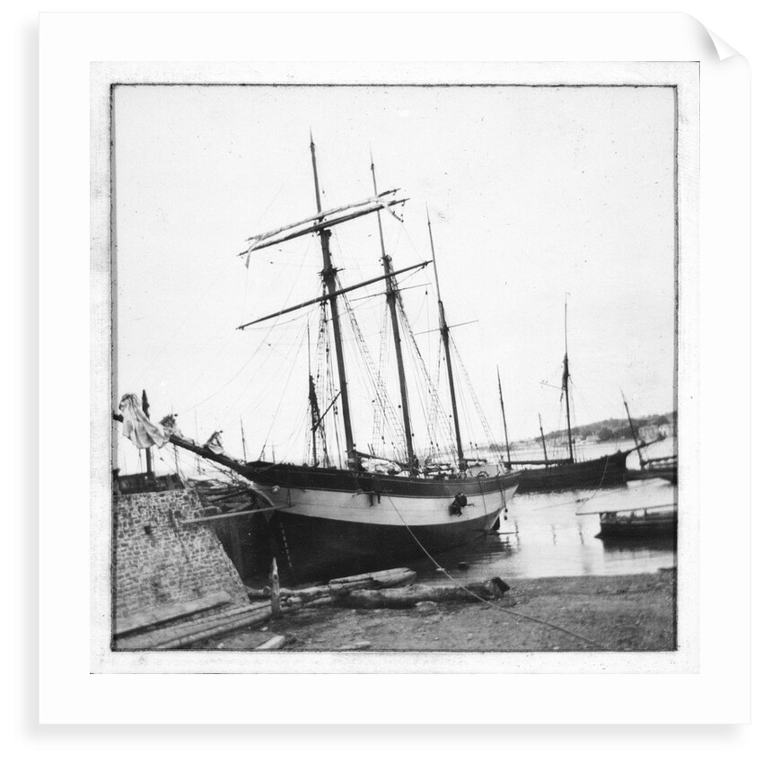 Schooner 'WML' by unknown