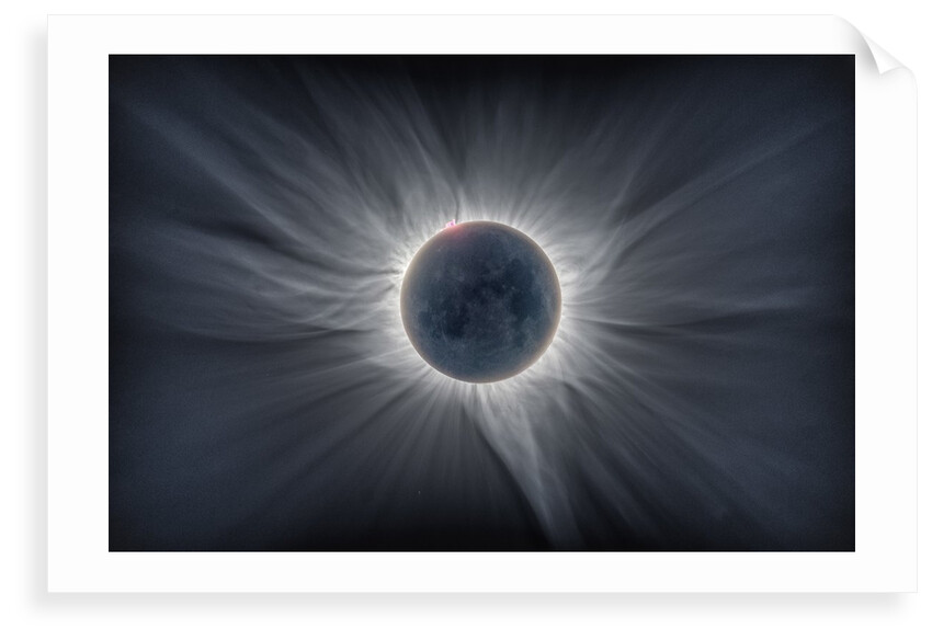 Sun Flower - Corona by Catalin Beldea; Alson Wong