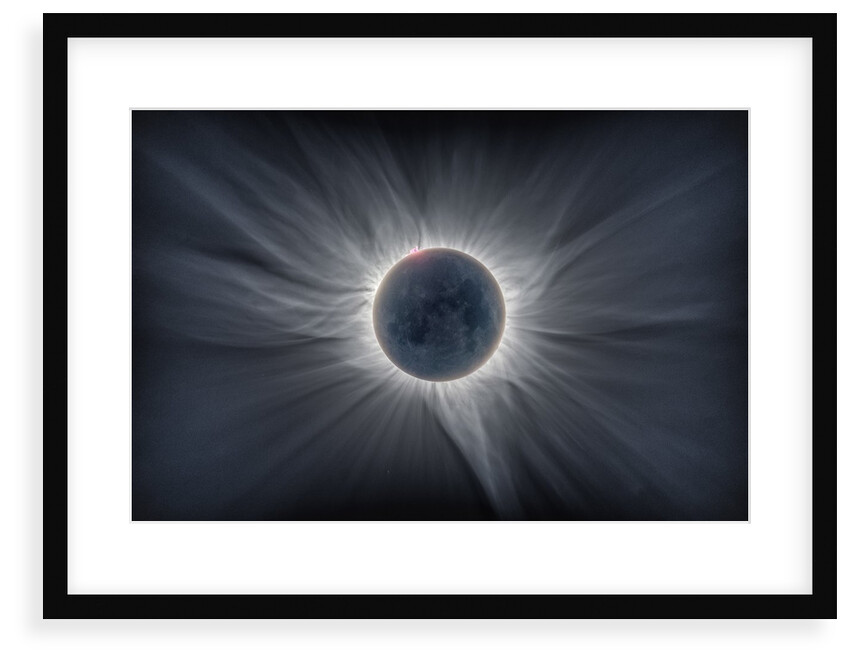 Sun Flower - Corona by Catalin Beldea; Alson Wong