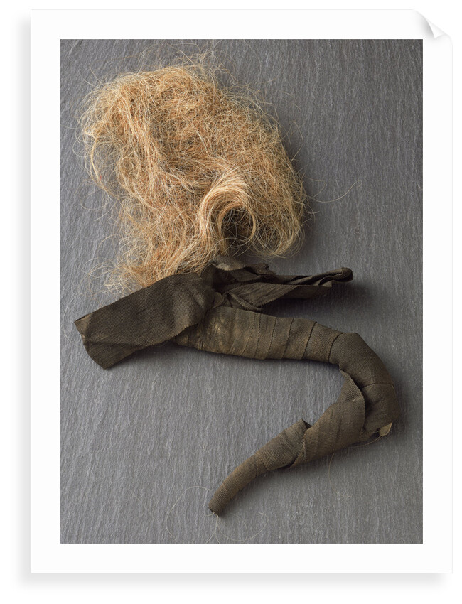 Nelson's pigtail by unknown