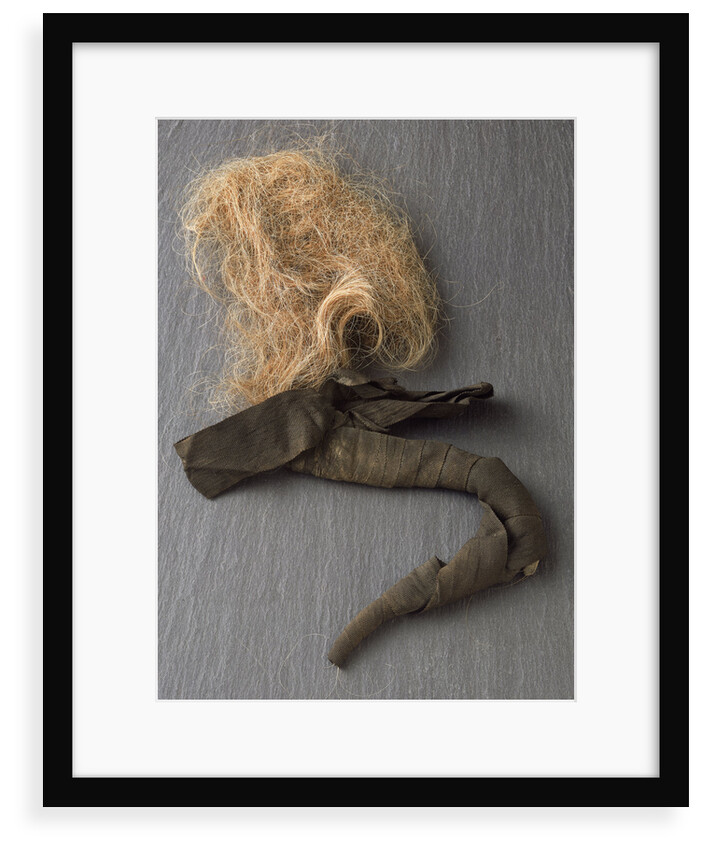 Nelson's pigtail by unknown
