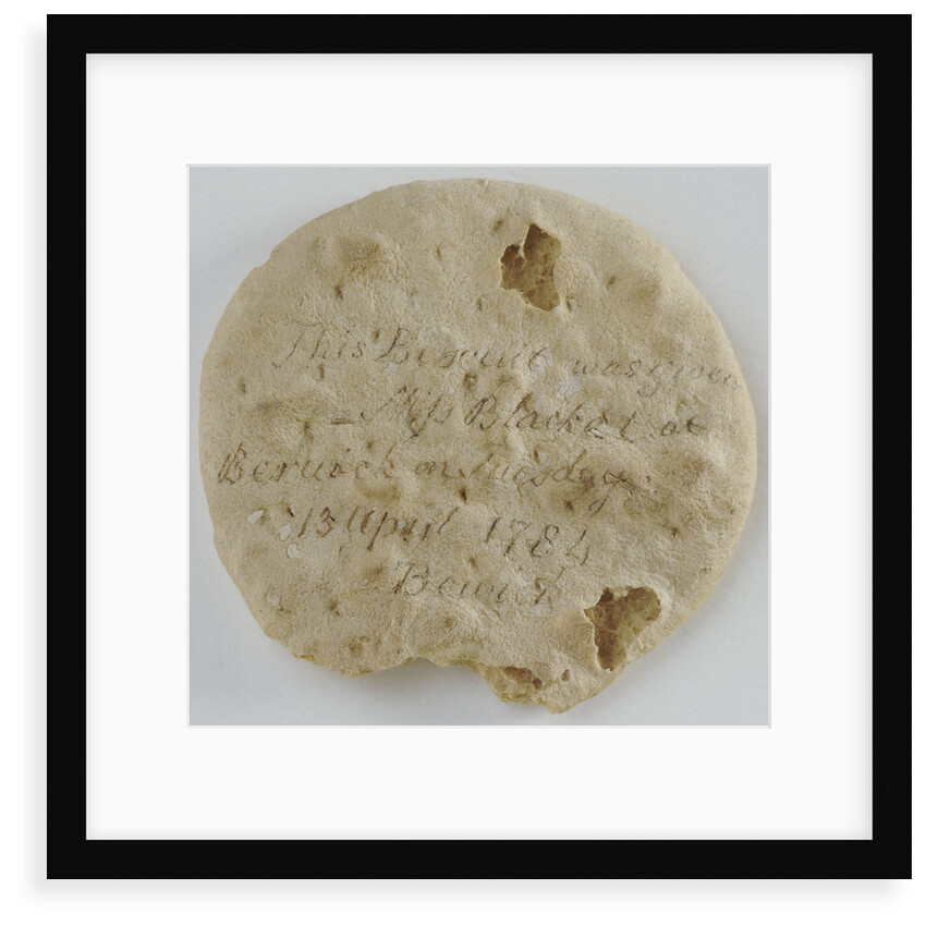 Ship's biscuit by unknown
