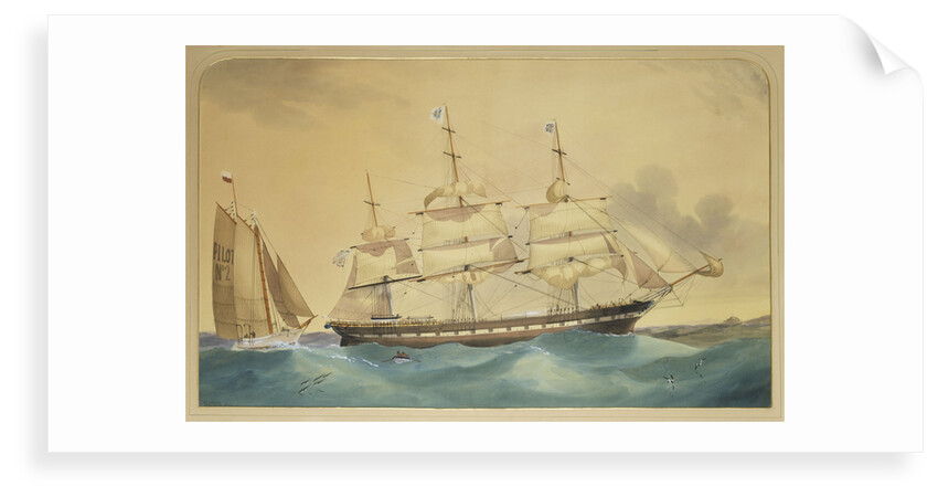 Clipper ship 'Walmer Castle' by Thomas Goldsworth Dutton