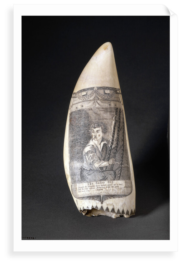 Scrimshaw whale tooth "The Sailor Boy" by unknown