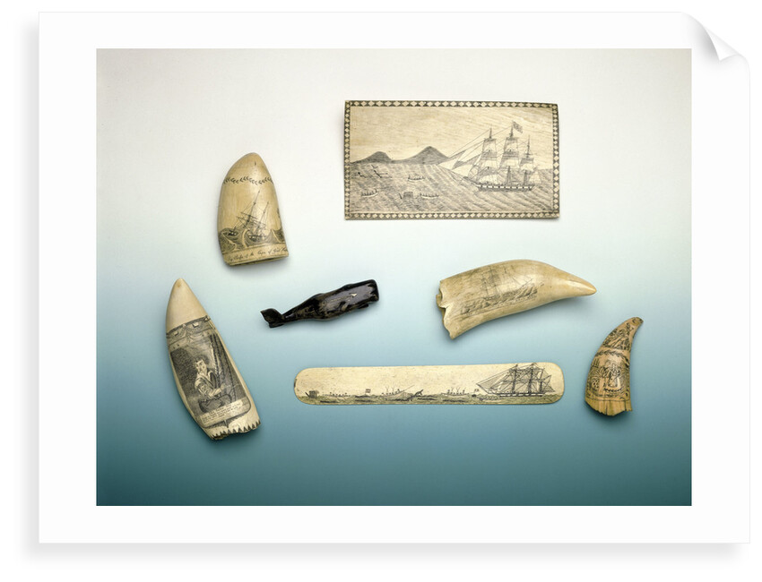 Engraved sperm whale's tooth by unknown