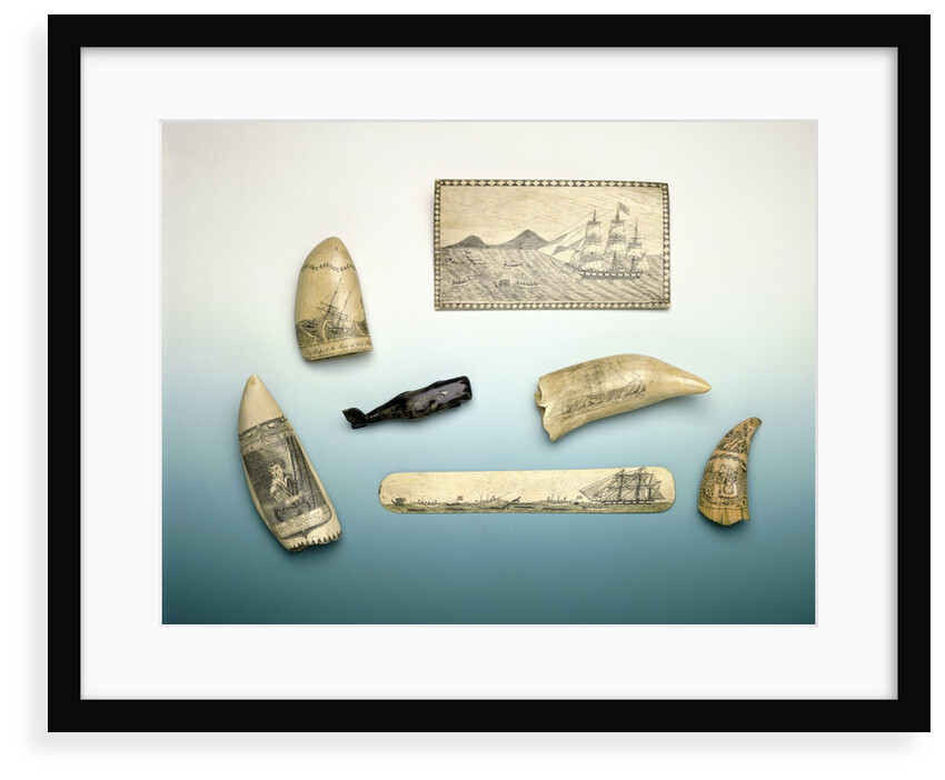 Engraved sperm whale's tooth by unknown