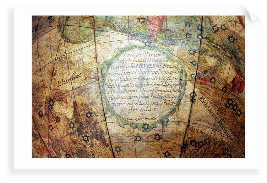 Inscription below Cetus by Georg Christoph Eimmart