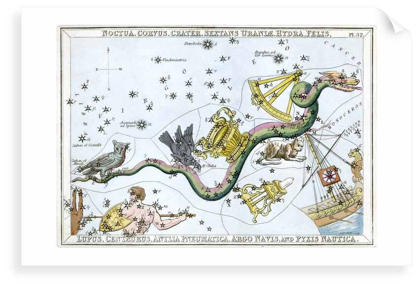 The constellation Hydra by Unknown