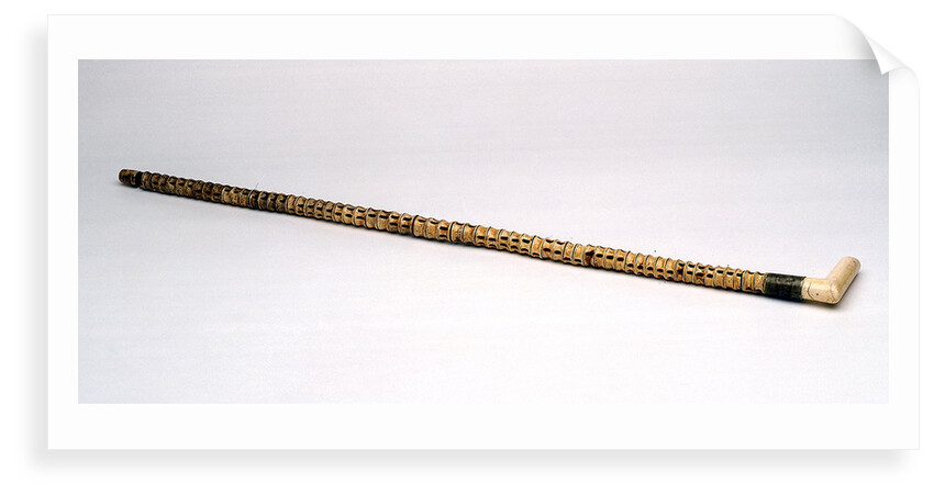 Walking stick made of shark vertebrae by unknown