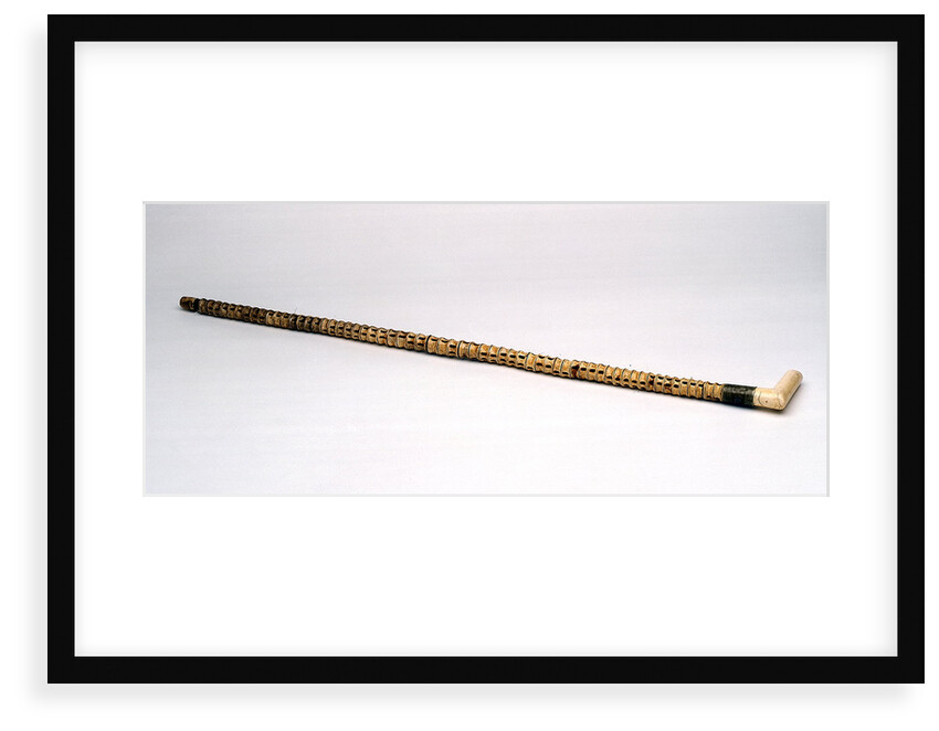 Walking stick made of shark vertebrae by unknown