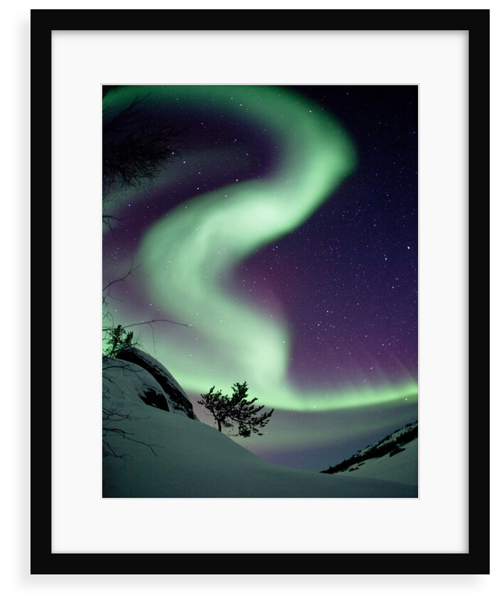 Whisper of the Wind by Dave Brosha