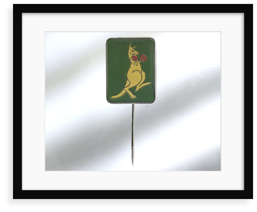 Lapel pin by Swann & Hudson
