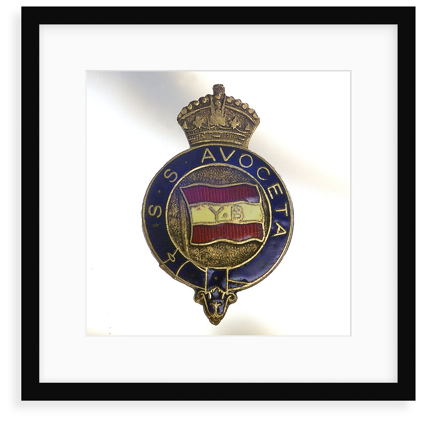 Badge by unknown