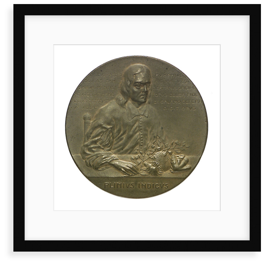 Medal commemorating the bicentenary of G.F. Rumphius (1627-1702); obverse by unknown