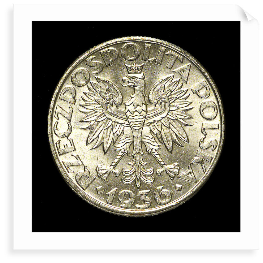 2 zlote coin; obverse by unknown