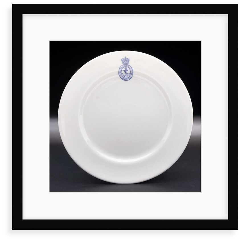 Porcelain plate by Hudson & Middleton Ltd.