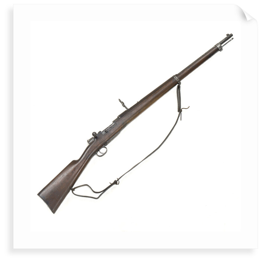 Mauser Model 1893 by unknown
