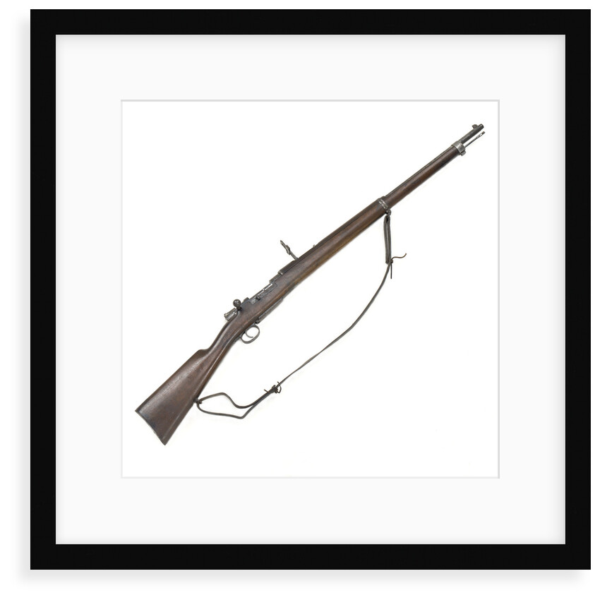 Mauser Model 1893 by unknown