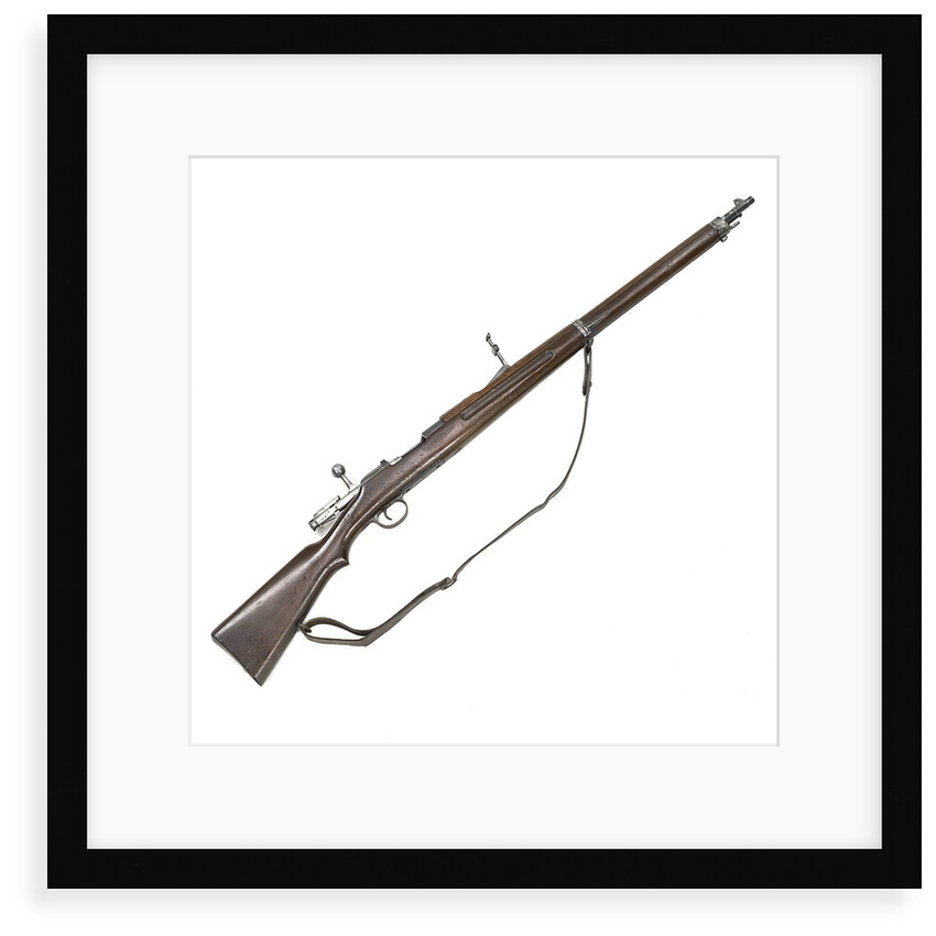 Steyr rifle by Steyr Factory