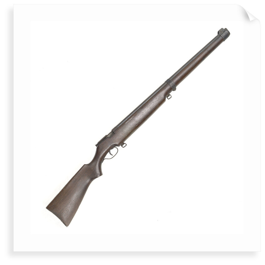 Model 82 rifle by Cooey