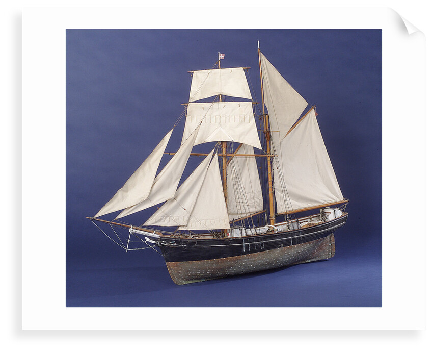 'Little Mystery', port 3/4 bow by Max T. Davey