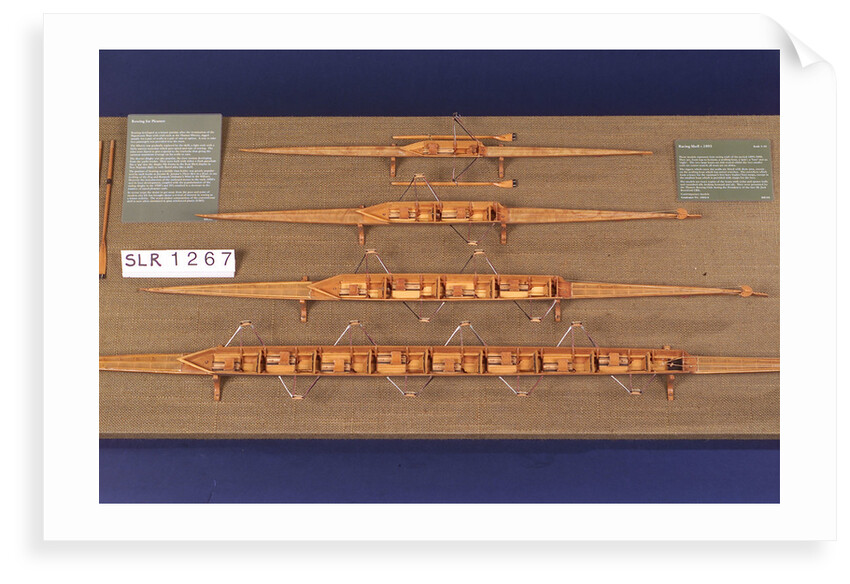 Full hull model, racing four shell, port broadside by unknown