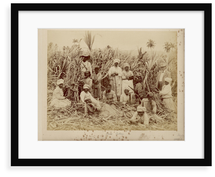 Sugar-cane cutters in Jamaica by unknown