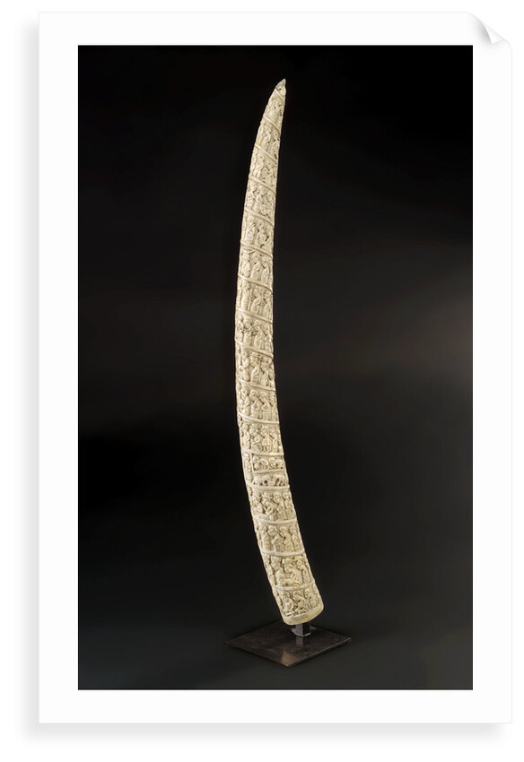 Loango Tusk by unknown