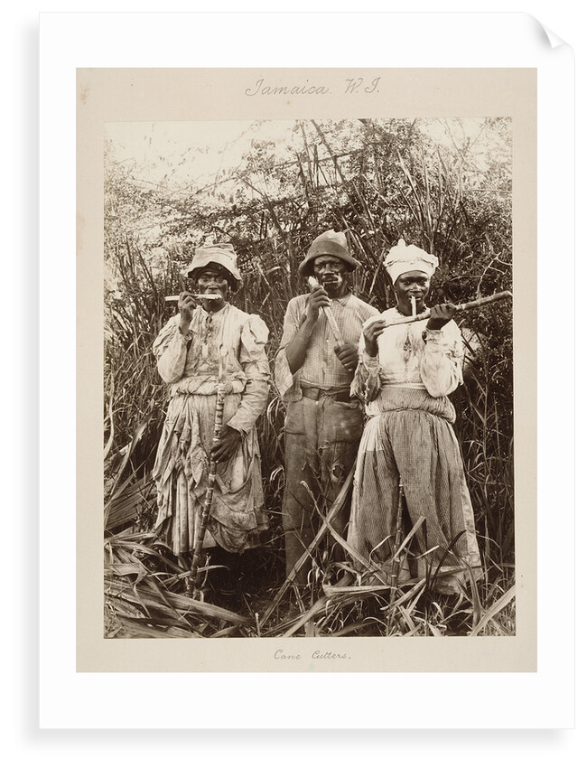 Slaves on a sugar plantation in Jamaica, West Indies by unknown