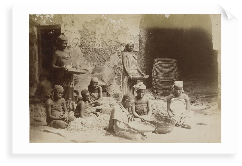 Slaves sifting root of Samoa plant by Unknown