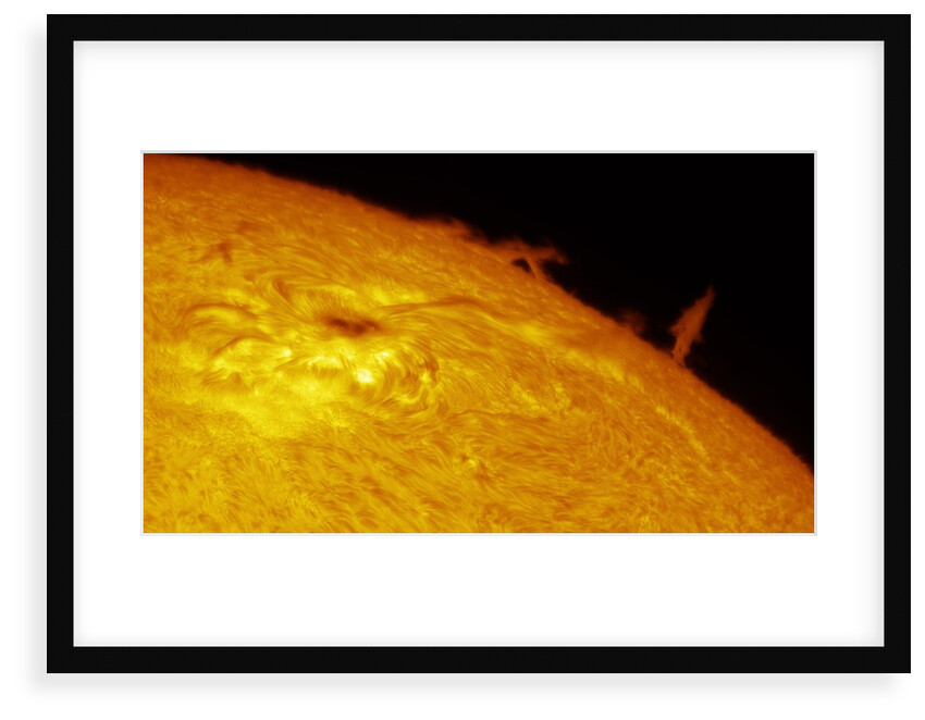Solar Limb Prominence and Sunspot by Eric Toops