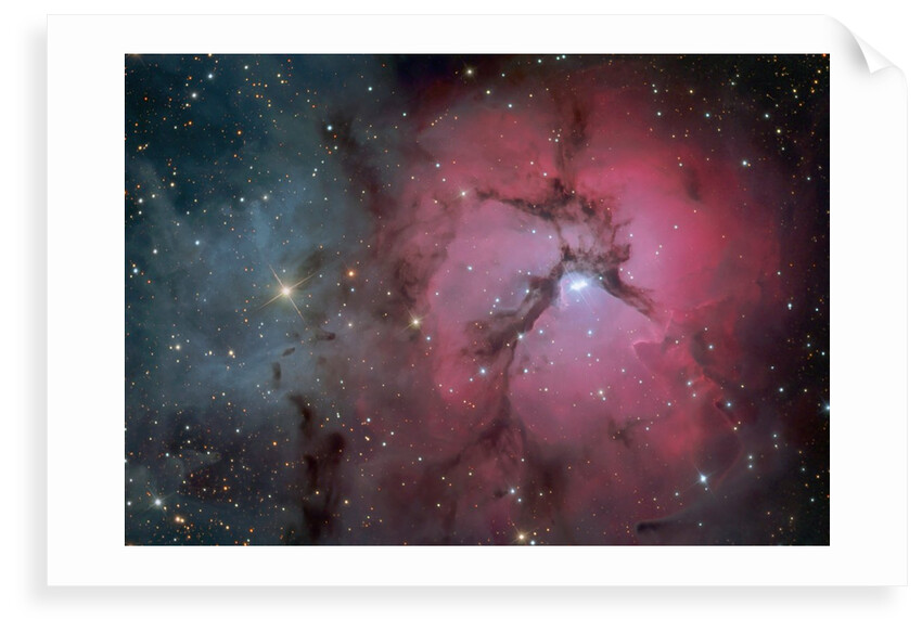 The Trifid Nebula (M20) by Eddie Trimarchi