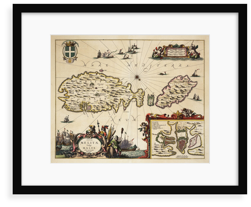 Map of Malta and Gozo by unknown